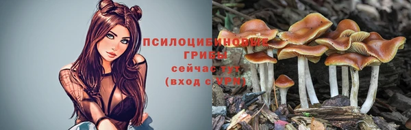 спиды Абинск
