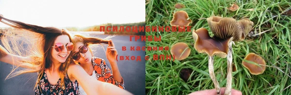спиды Абинск