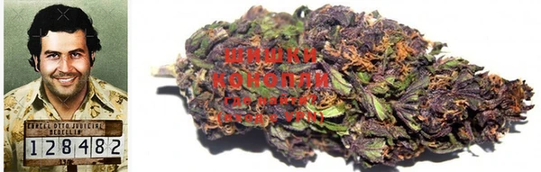каннабис Абаза