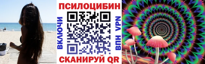 Галлюциногенные грибы Psilocybe магазин Судогда