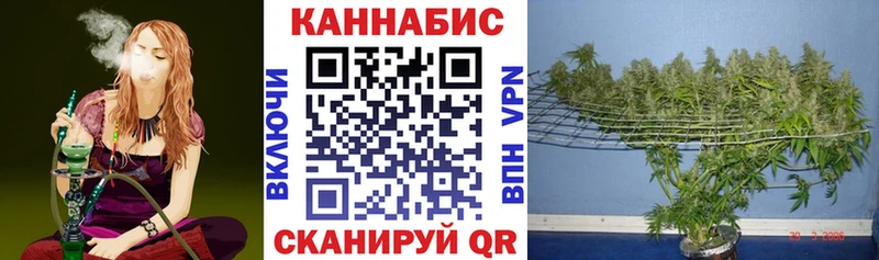 Бошки Шишки тримм mega ТОР Судогда
